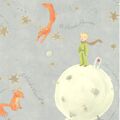 Little Prince